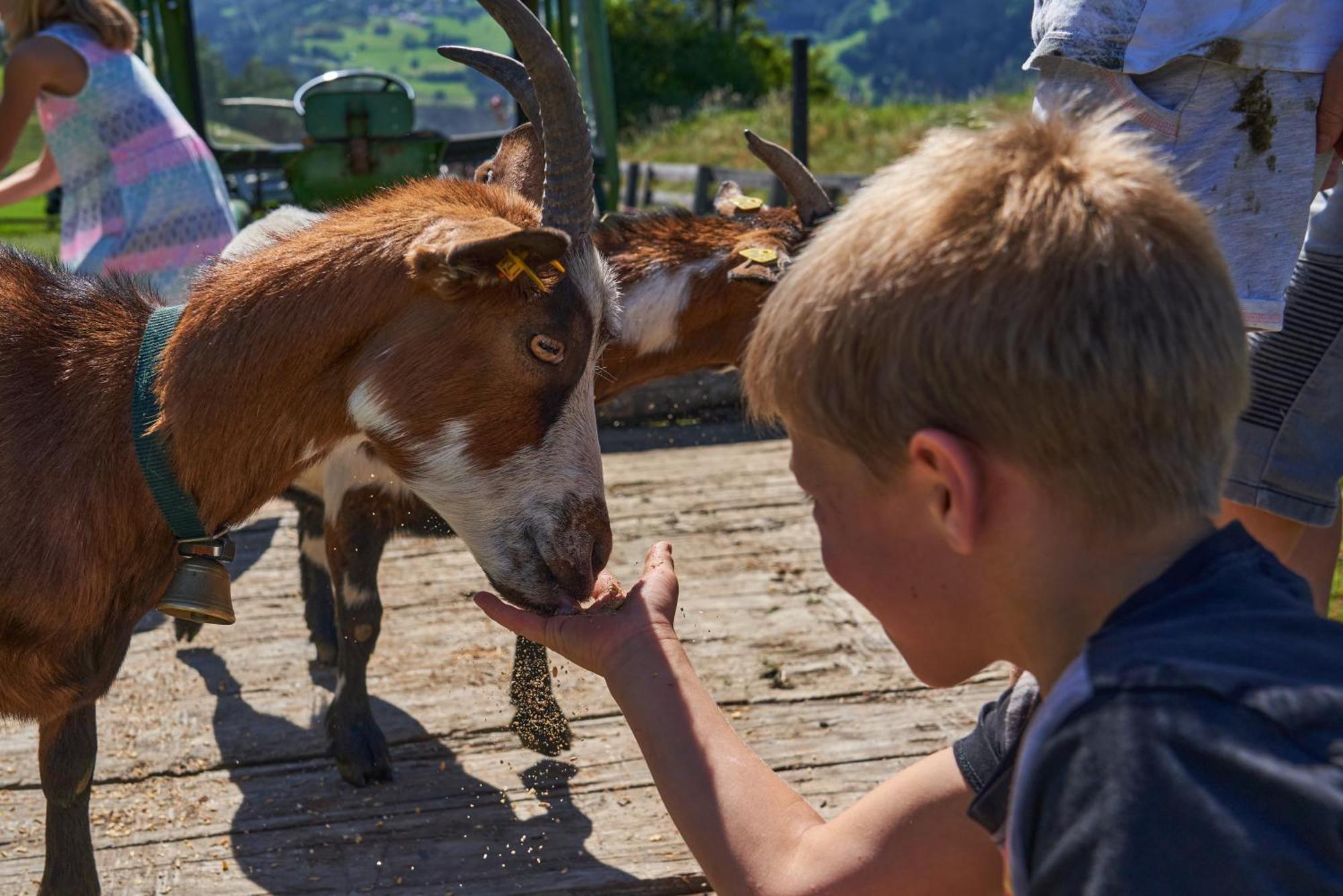 Kinderbauernhof Leneler Arzl im Pitztal Luaran gambar